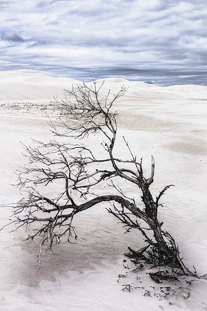 Sand Dunes, Western Australia