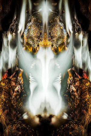 Consciousness