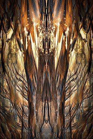 Cathedral