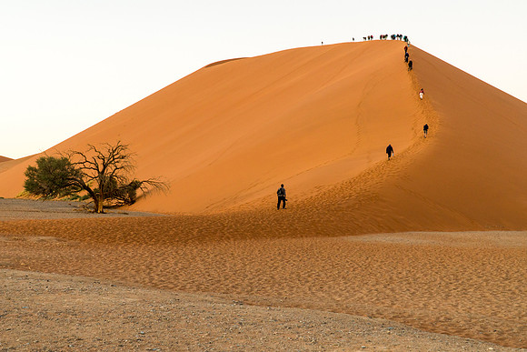 Dune 45