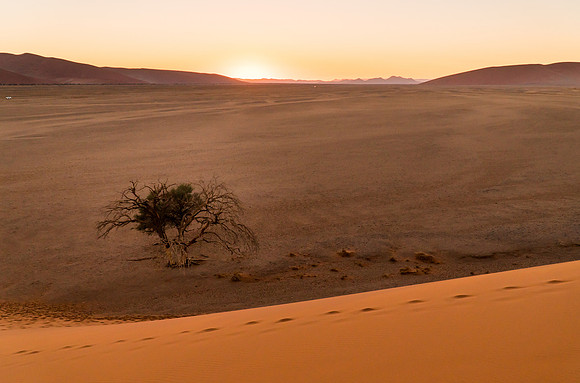 Dune 45