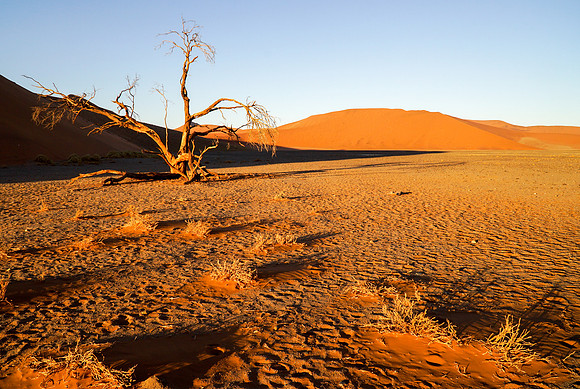 Dune 45