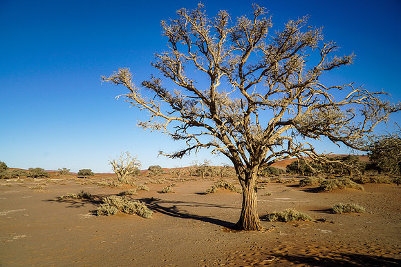Sossusvlei Namibia