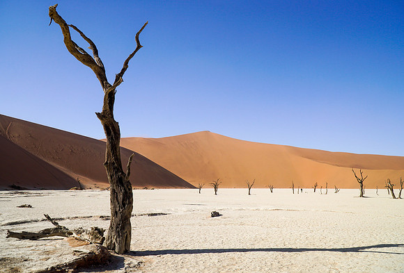Deadvlei