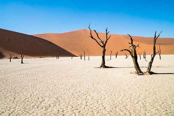 Deadvlei
