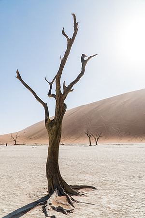 Deadvlei