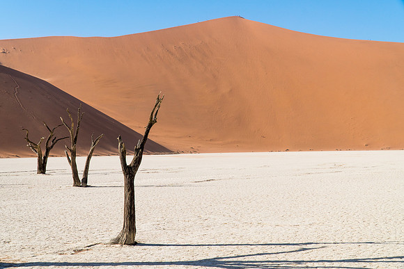 Deadvlei