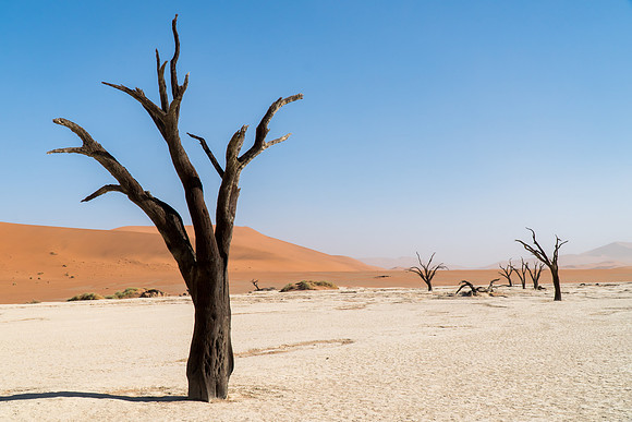 Deadvlei