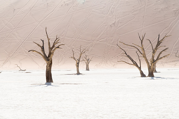 Deadvlei
