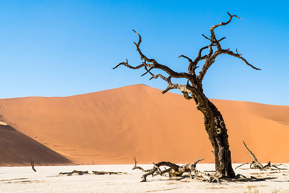 Deadvlei