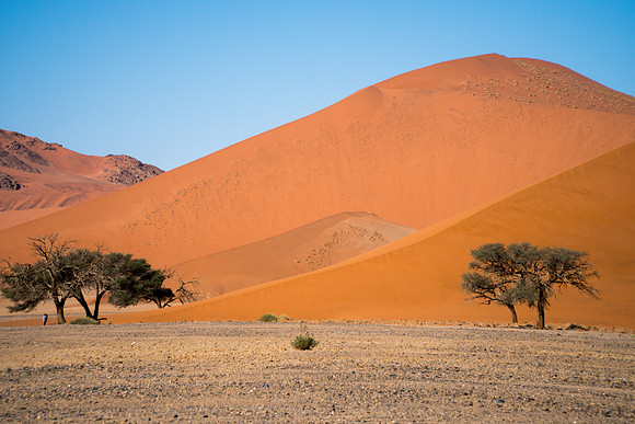 Dune 45