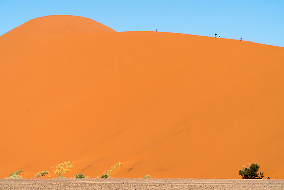 Dune 45