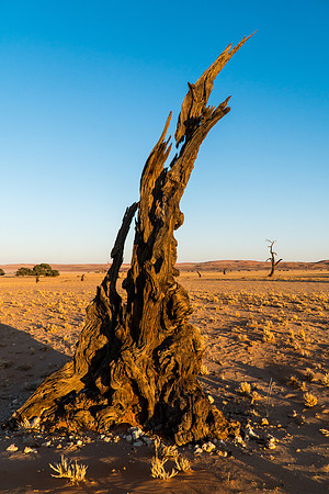 Sesriem Namibia