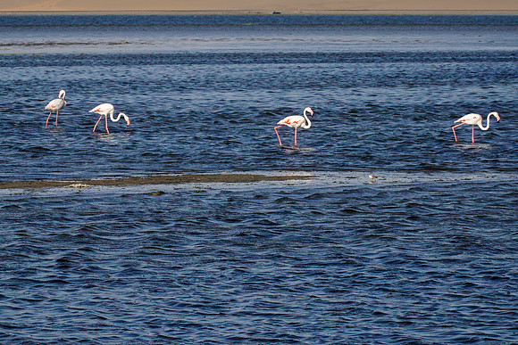 Walvis Bay, Namibia