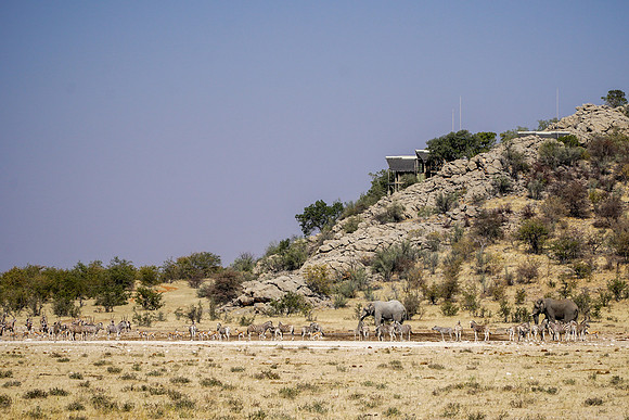 Etosha Namibia