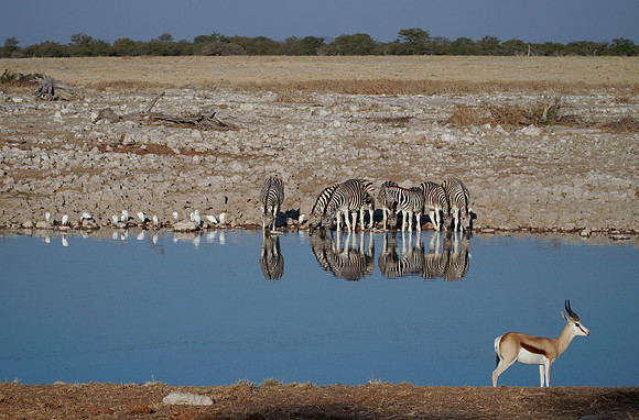Etosha Namibia