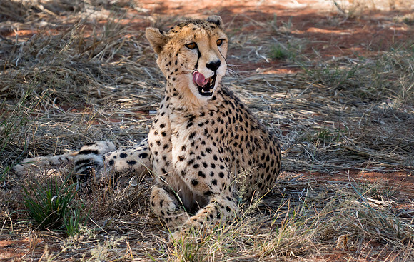 Waterberg Namibia