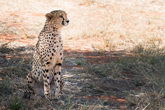 Waterberg Namibia