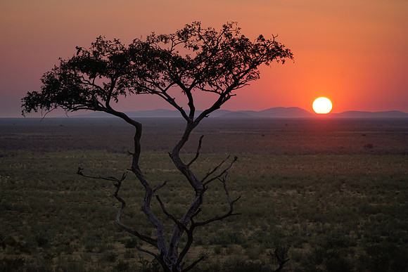 Etosha Namibia