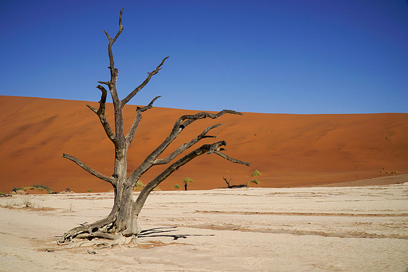 Deadvlei
