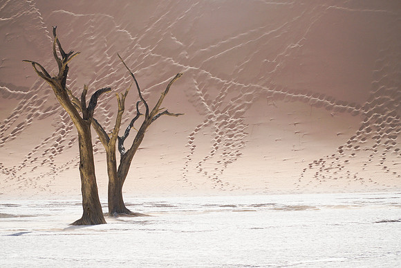 Deadvlei