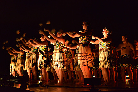 Auckland Arts Festival 2015
