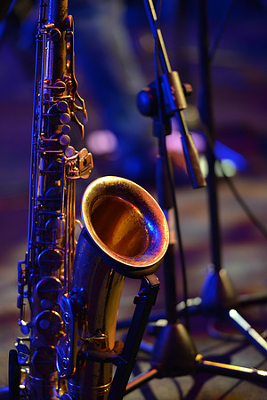 Tauranga Jazz Festival