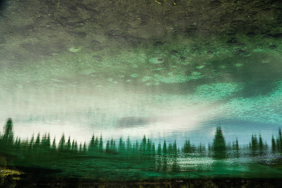Reflections in the lake